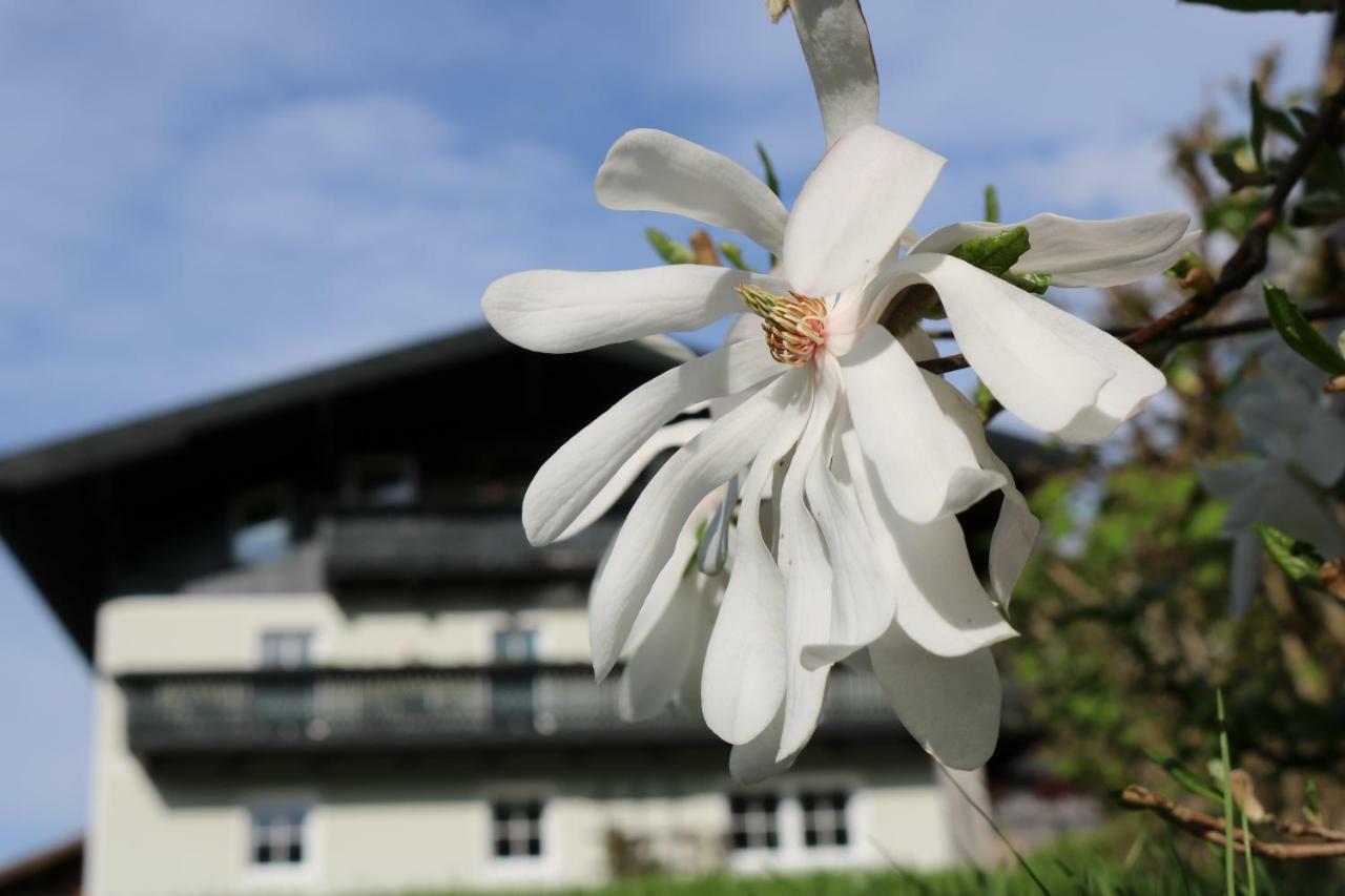 Haus Brandstatter Apartment Eben Im Pongau Exterior photo